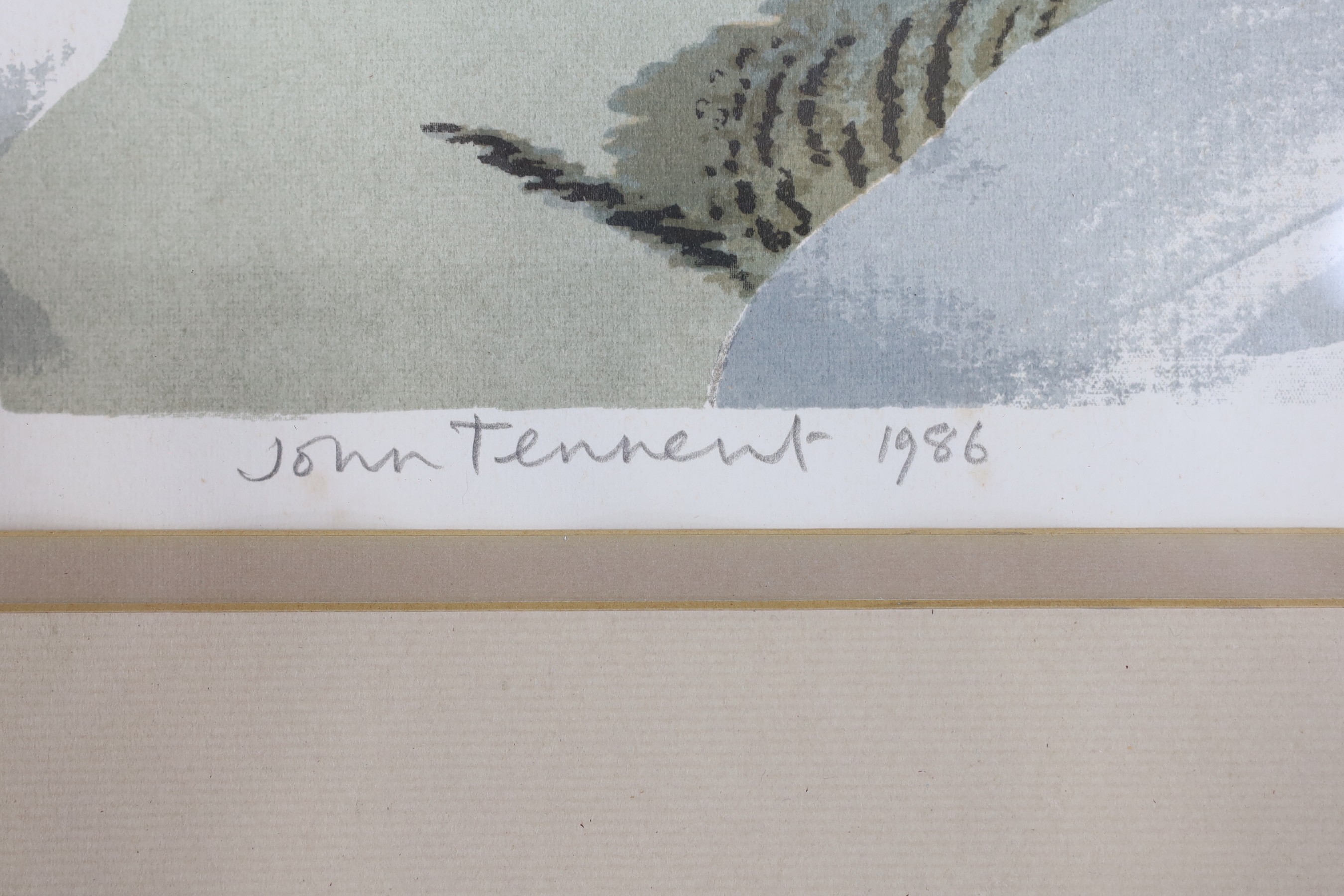 John Tennent (1926-), screenprint, 'Common Snipe', signed and dated 1986, 20/75, 31 x 43cm